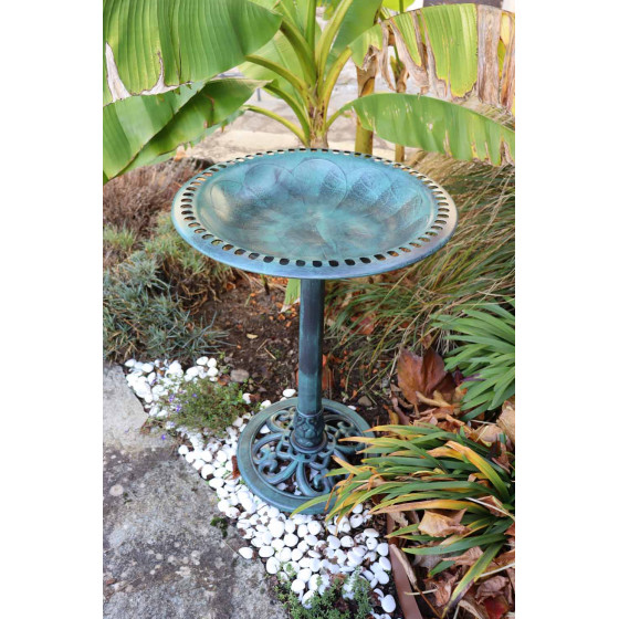 baignoire oiseau jardin