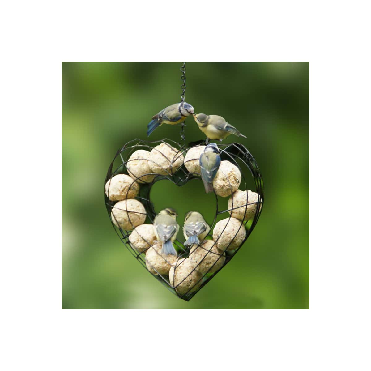 Un support boule de graisse en forme de coeur pour nourrir les oiseaux ! 