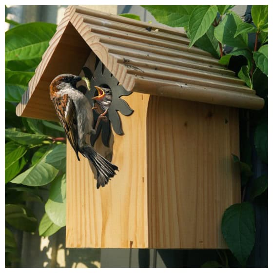 Nichoir à mésange charbonnière - Jardin et Saisons