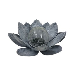 lotus solaire gris