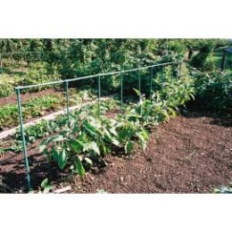 Kit 24 tuteurs plantes grimpantes