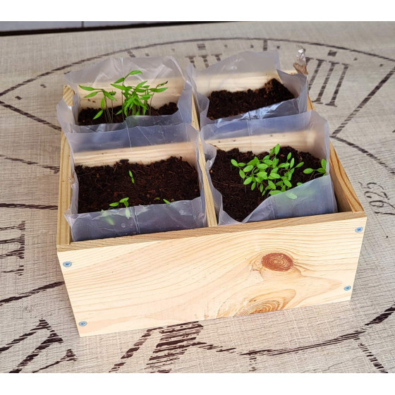 kit de plantation avec terreau fibre de coco