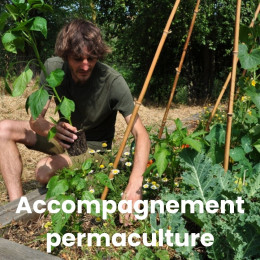 Cours et coaching VIP de permaculture en ligne sur 1 an