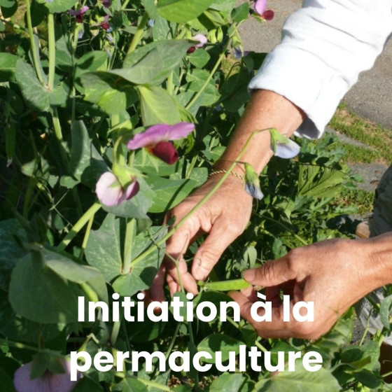 Initiation et coaching à la permaculture avec un professionnel