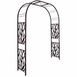 Arche jardin plantes grimpantes