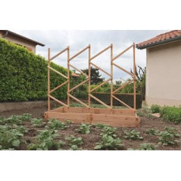 treillis bois jardinage tomates
