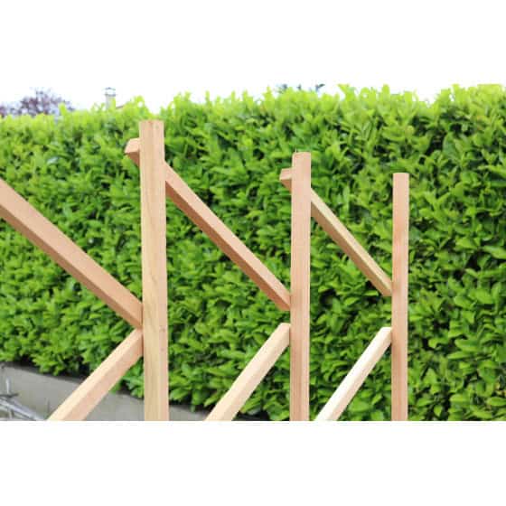 treillage en bois pour plante grimpante