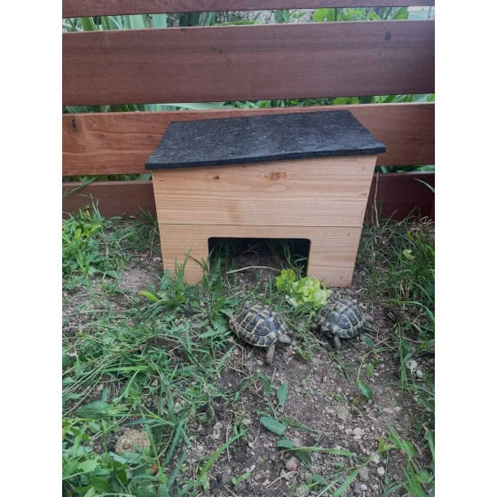 Maison pour tortue en bois douglas français