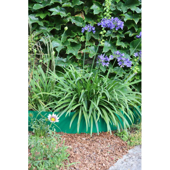 bordure de jardin en acier galvanisé vert foncé