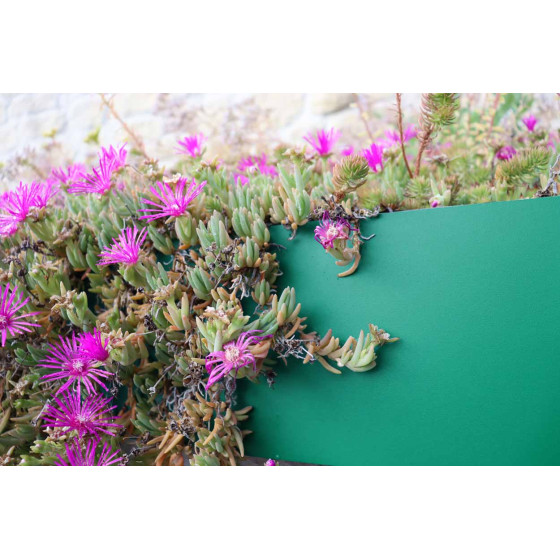 Bordure de jardin en acier galvanisé