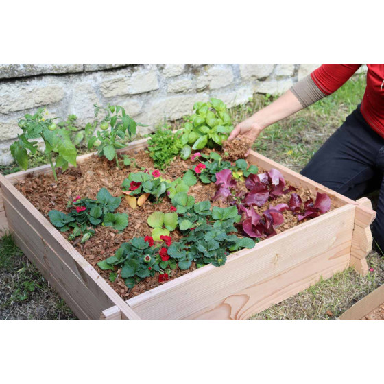 carré potager en bois français non traité