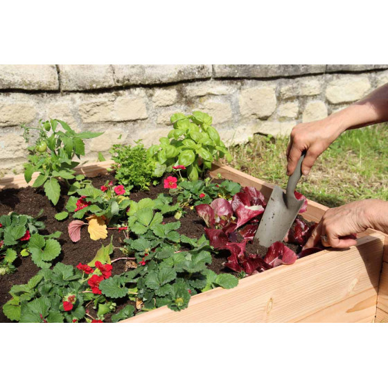 transplantoir jardin pour bac potager