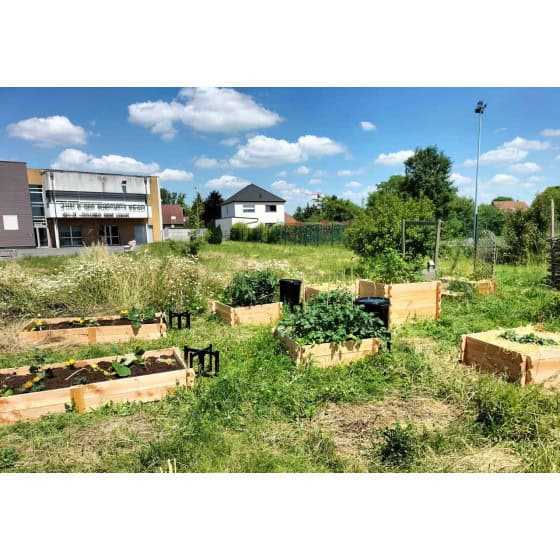 rectangle potager avec carré potager