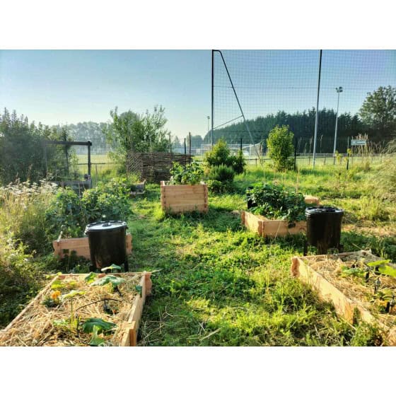 carres potagers bois avec rectangle potager