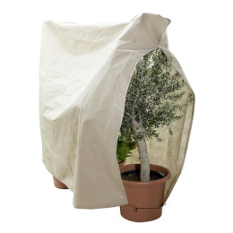 housse d'hivernage plante