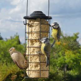 Mangeoire à Boules De Graisse Pour Oiseaux – Lot De 8 Avec Crochets En S – Noir Métal – Pour Jardin Et Balcon