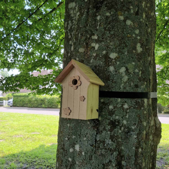 Kit accroche nichoir pour mésange