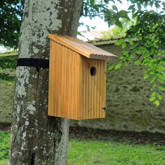 Accroche nichoir pour oiseaux