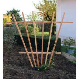 Treillis en bois support pour plante grimpante et tomate
