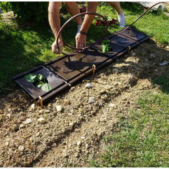 2 plaques de culture avec goutte a goutte