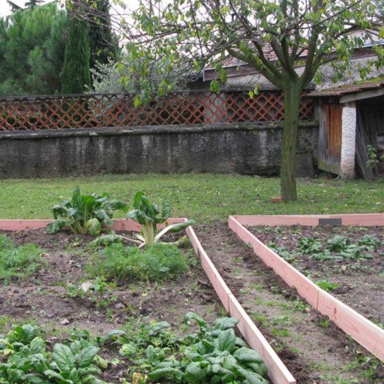 Bordure en planche de bois 1,30 m