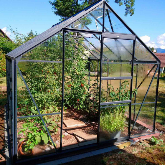 Serre de jardin en aluminium vert