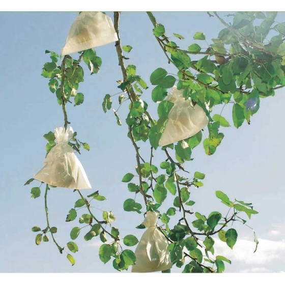 50 sacs de protection pour fruits en papier