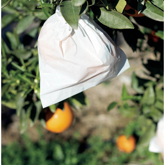 Lot de 50 housses à fruits