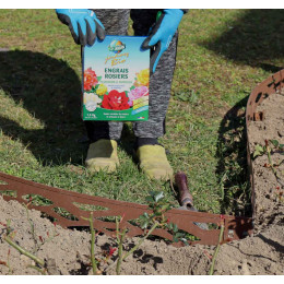 engrais pour rosier culture biologique