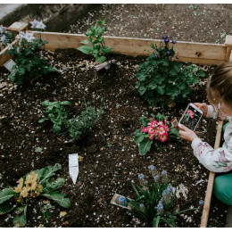 fumier de cheval en sac