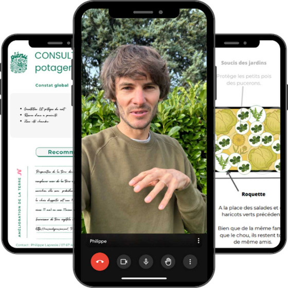 Coaching en ligne potager personnalisé