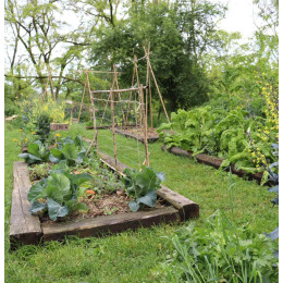 Formation en ligne plan de culture