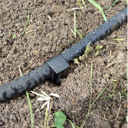 Cours en ligne réduire l'eau au potager