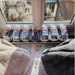 7 mini serre de germination pour semis