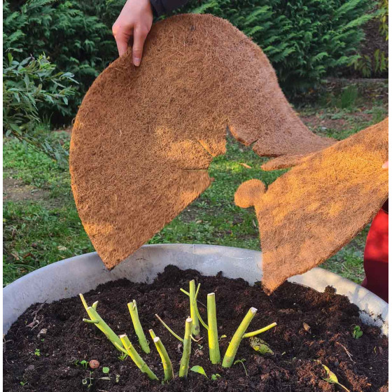 Disque de paillage facile à installer