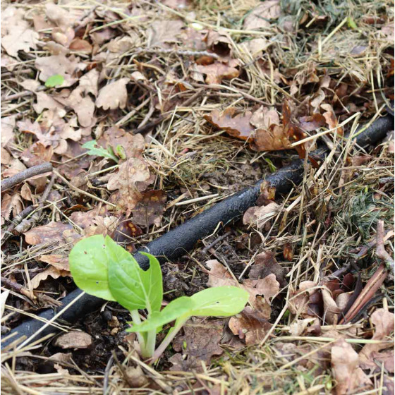 Kit complet Lifecell microporeux permaculture