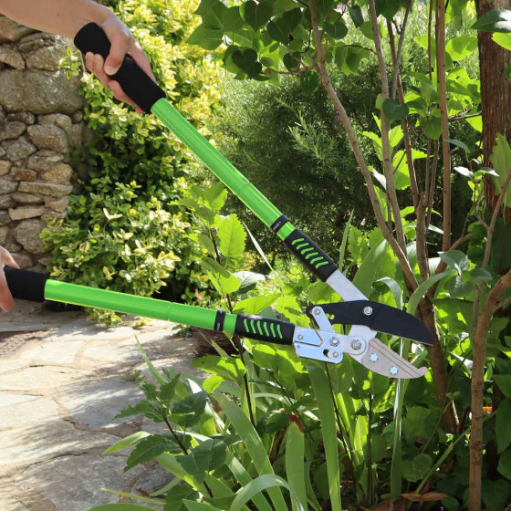 ebrancheur telescopique