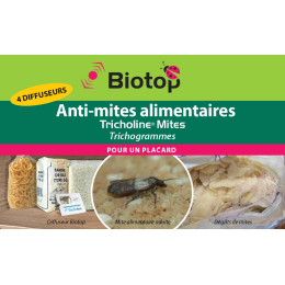 trichogrammes anti-mites alimentaires