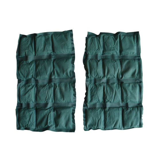 Lot de 2 coussins 100% naturel rétenteurs d'eau