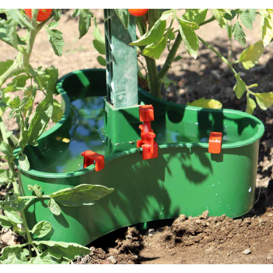 reserve d'eau tomate