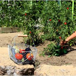 Panier Cueillette Fruits Avec Bandoulière - Portable, Robuste PVC, Jardin, Récolte Légumes