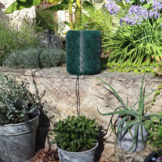 reserve d'eau et goutte à goutte
