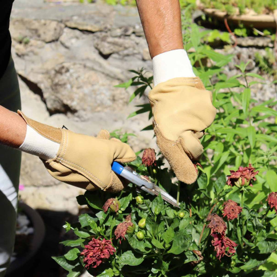 gants de jardin en cuir