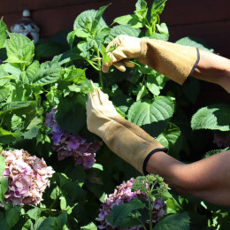 Gants rosiers en cuir
