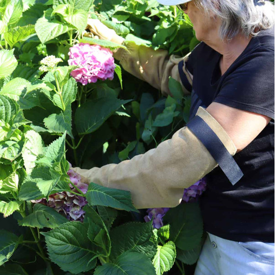 manchettes de protection pour avant-bras manchettes de protection pour avant-bras