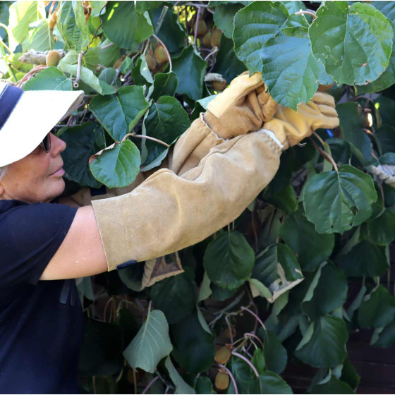 manchette de protection en cuir manchette de protection en cuir