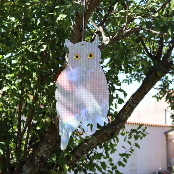 épouvantail chouette