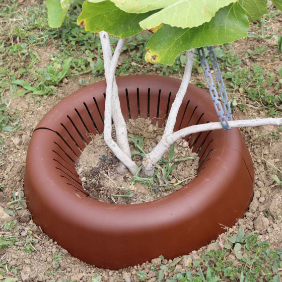 Couronne d'arrosage économique