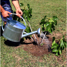 Arrosoir acier galvanisé