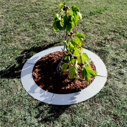 entourage d'arbre grand diametre 100 cm